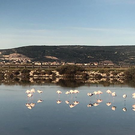 Flamants Roses 1 Pers 6 Фронтинян Екстериор снимка
