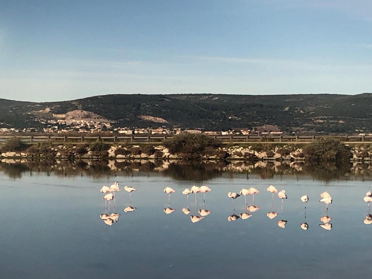 Flamants Roses 1 Pers 6 Фронтинян Екстериор снимка